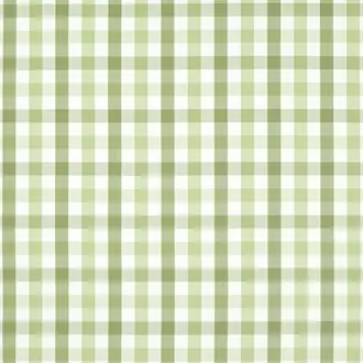 Saybrook Check AW15145
