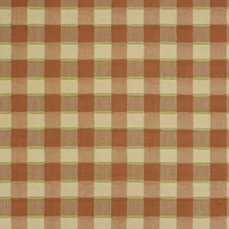 Thani Check JT013968-002