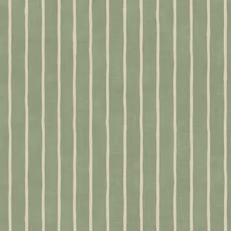 Pencil Stripe Lichen