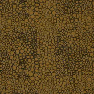 Wild Complexions JT014022-002