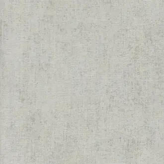 Vibe Silver