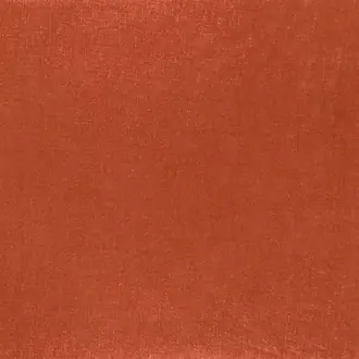 Tsuga F1420-19