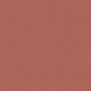 Coral 106-5076