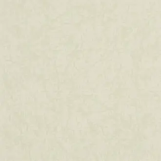 Boratti Oyster PDG682-07