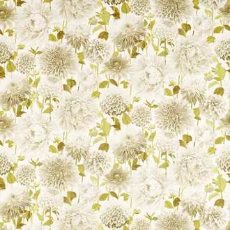 Dahlia 121084