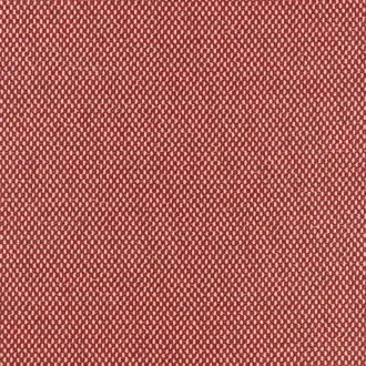 Net Berry
