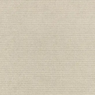 Corin 7697-14