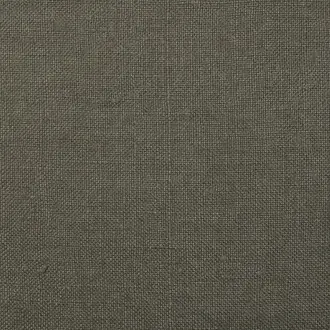Lienzo 13