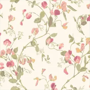 Sweet Pea 100-6028