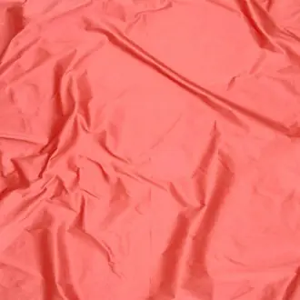 Colibri 10392434