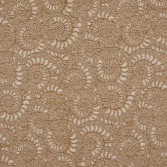 Ammonite 3233-02