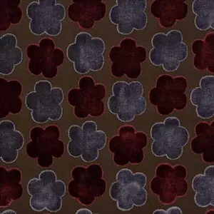 Aster Velvet Red Mauve Charcoal FD568V75