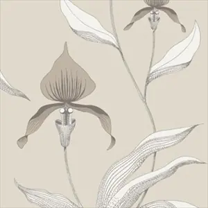 Orchid 95-10058