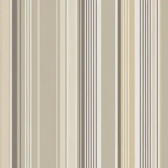 Stripes+ 377110