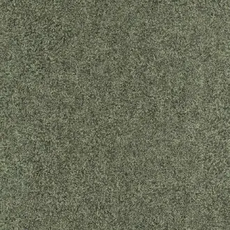 Shagreen 312905