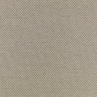 Net Carbon