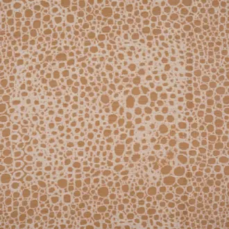 Wild Complexions JT014022-003