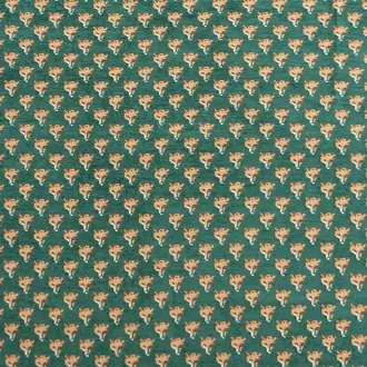 Raposu Verde LCT-1077-002