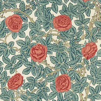 Rambling Rose 217206