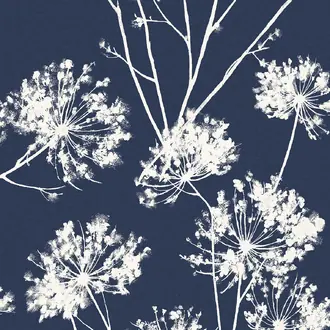 Dandelion Fields
