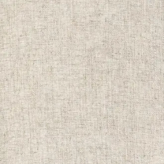 Mistral 11240145