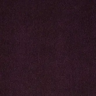 Hampton Blackberry
