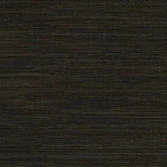 Canvas 313510