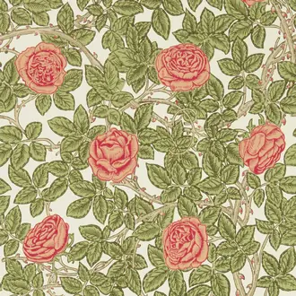 Rambling Rose 217207
