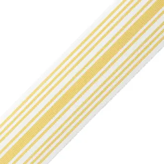 Mds 2" (51 mm) Stripe Border BT-61109-13