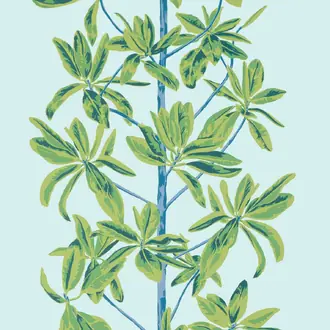 Mangrove Tree T45033