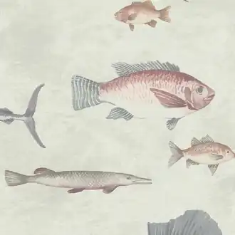 Aquatic DYW0001