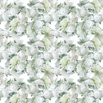 Peonia FDG2913-01