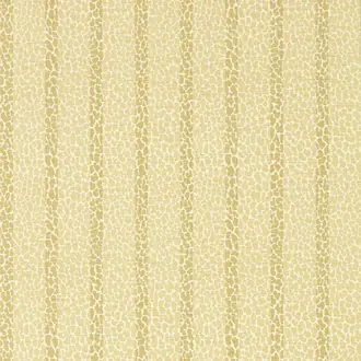 Lacuna Stripe 113070