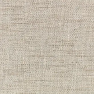 Essi 8033-01