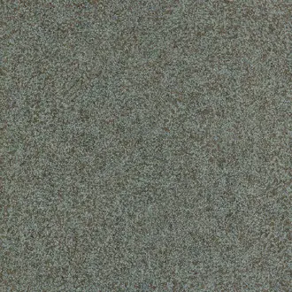 Shagreen 312906