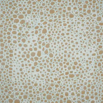 Wild Complexions JT014022-004