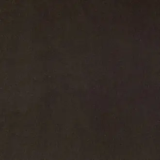Guru 11