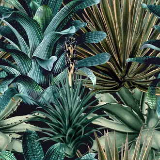 Lush Succulents WP20164