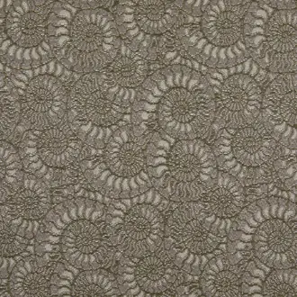 Ammonite 3233-03