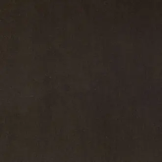 Guru 11