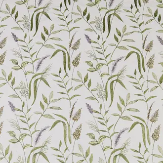 Betony Eucalyptus