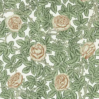 Rambling Rose 217208
