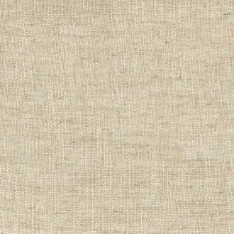 Mistral 11240410
