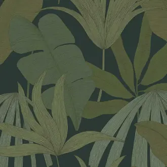 Festival 333500