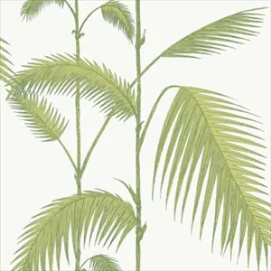 Palm 95-1009