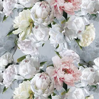 Peonia Grande FDG2911-01