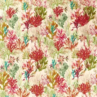 Oceana Print CCF0889-03