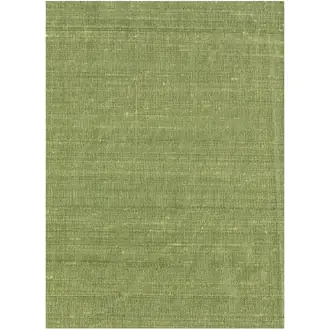 Salon Silk F5980-53