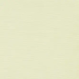 Accent 6839-0014