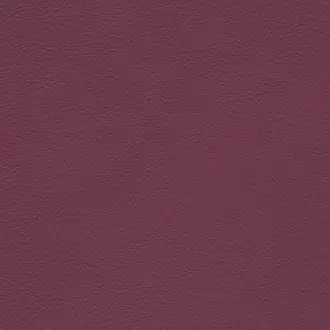 Palma Nf 5245-80